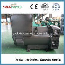 300kw chinesischer Permanentmagnet Brushless OEM-Generator-Generator